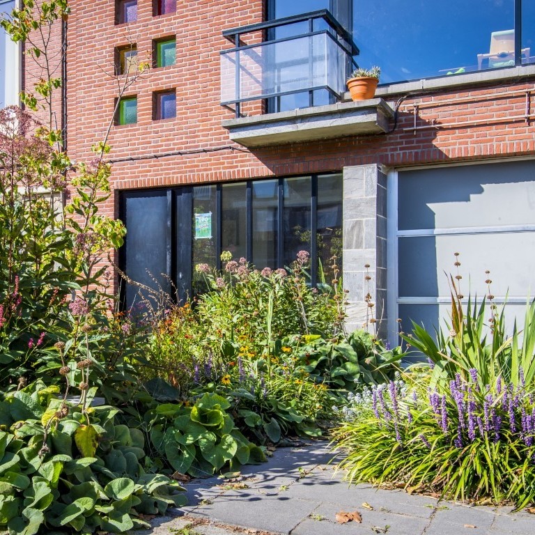 Een voortuin met kleurrijke planten Een voortuin met kleurrijke planten